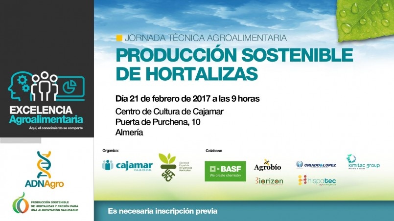 Producción sostenible de hortalizas