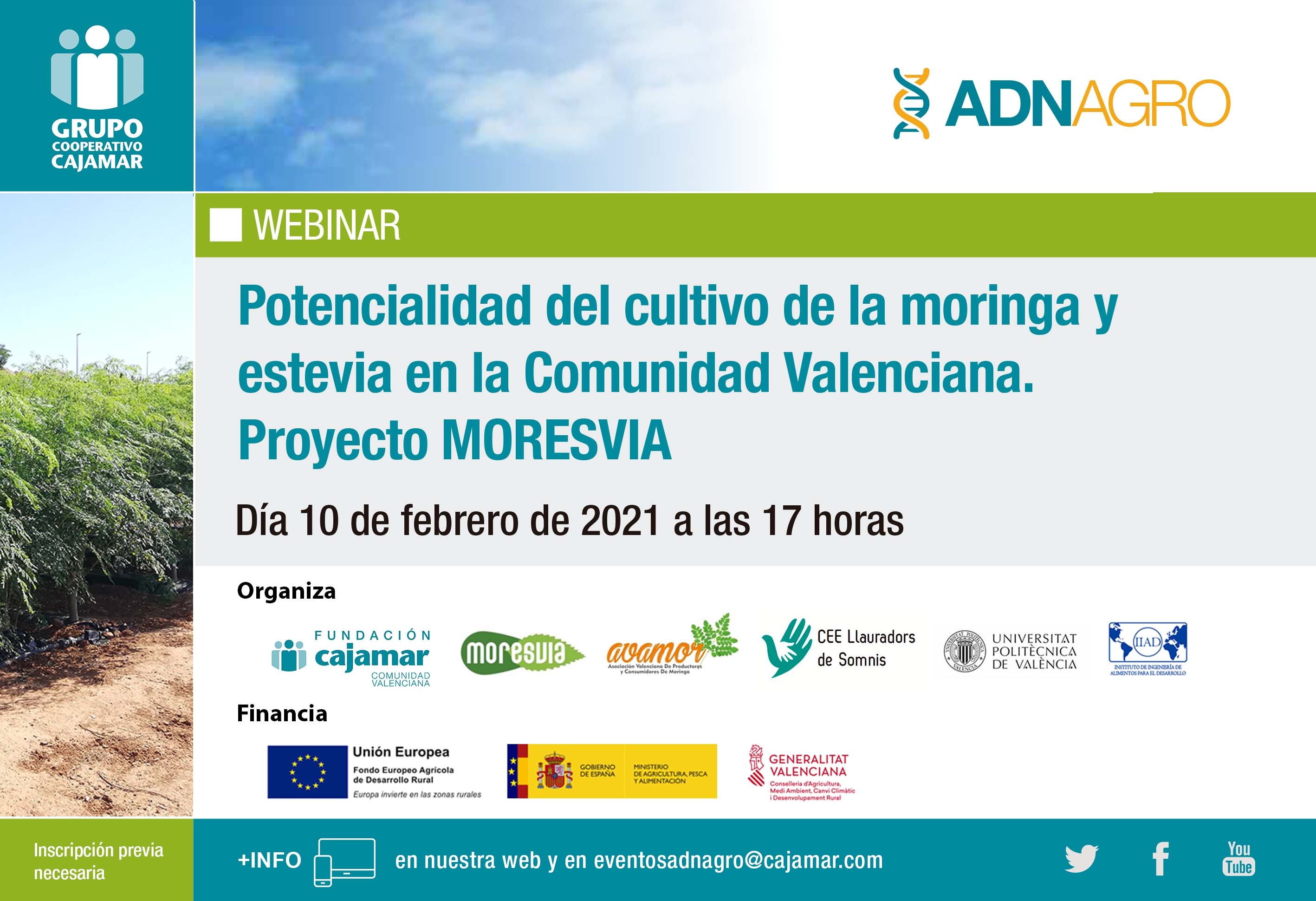 Webinar - Potencialidad del cultivo de la moringa y estevia en la Comunidad Valenciana. Proyecto MORESVIA