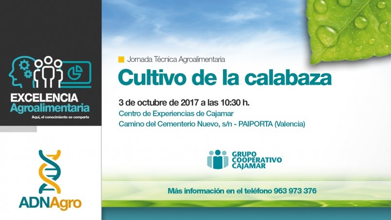 Jornada Calabaza Paiporta