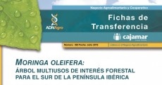 Moringa 1470138804 Moringa 1470138804
