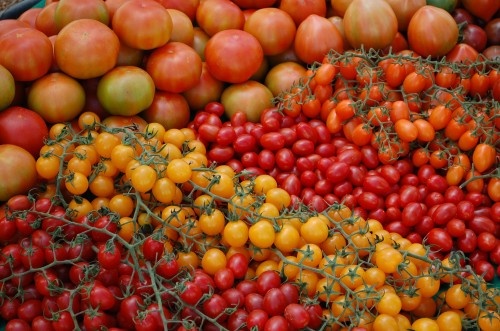 Imagen con diferentes variedades de tomate